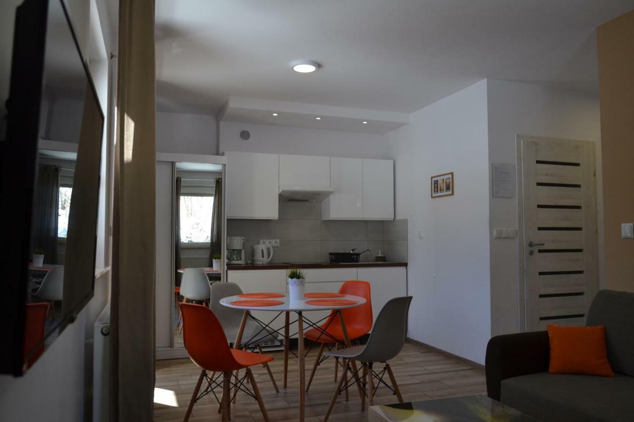 Apartamenty Pod Rudka Czarna Gora Agroturystyka Sienna  Ngoại thất bức ảnh